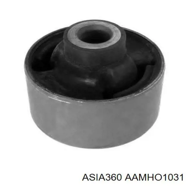 AAMHO1031 Asia360