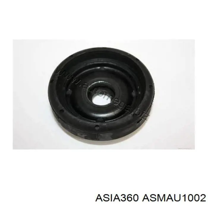 ASMAU1002 Asia360