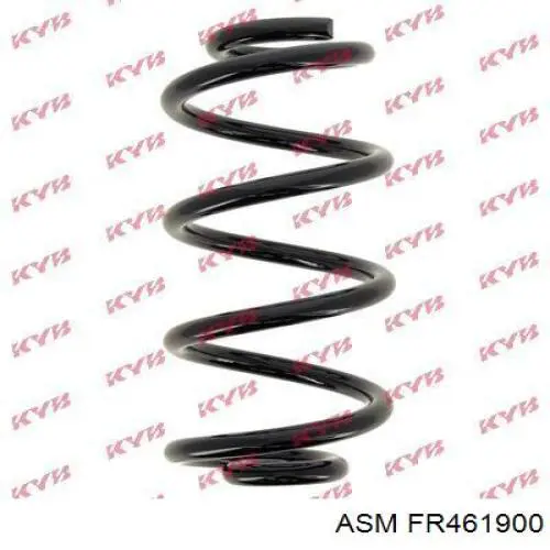 FR461900 ASM Амортизаторы задние