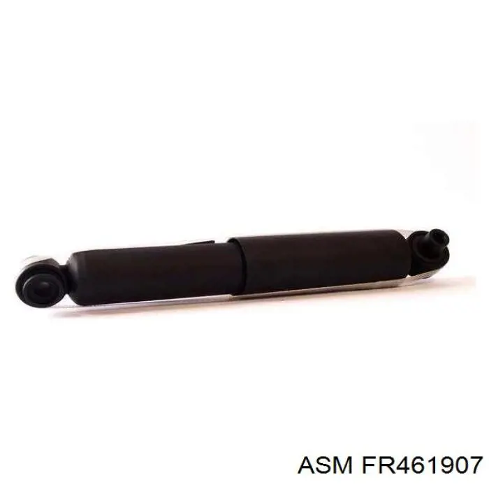 FR461907 ASM Амортизаторы задние