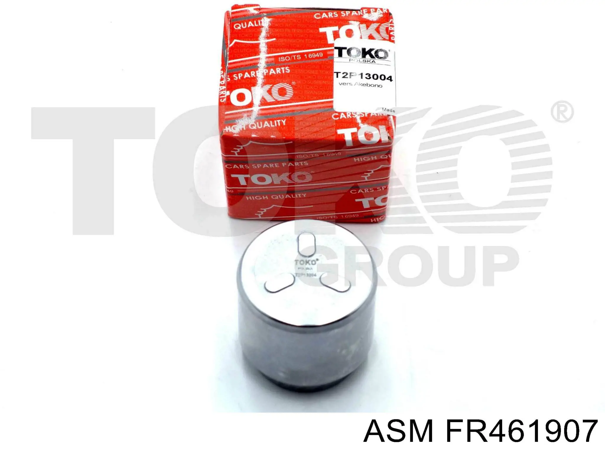 Стойка амортизатора задняя ASM FR461907 цена, от 29.47 USD