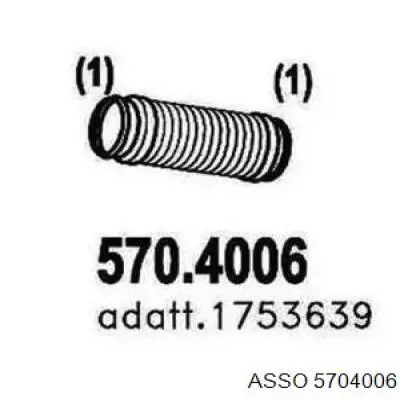  5704006 Asso