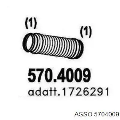  5704009 Asso