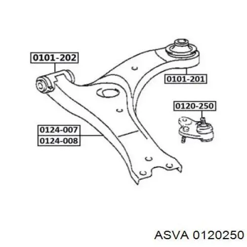 Нижняя шаровая опора 0120250 Asva