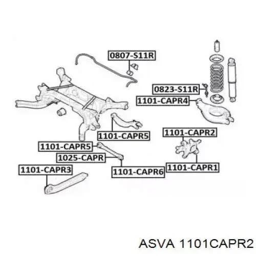 Сайлентблок цапфы задней ASVA 1101CAPR2