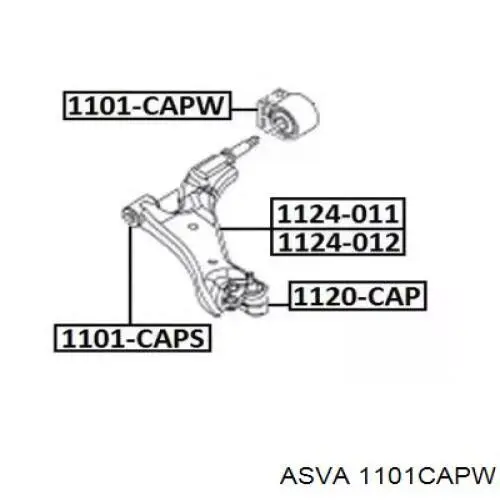 Сайлентблок переднего нижнего рычага ASVA 1101CAPW