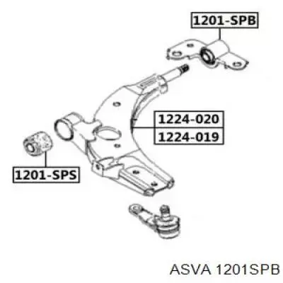 Сайлентблок переднего нижнего рычага 1201SPB Asva
