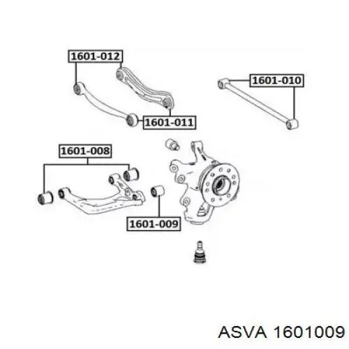 Сайлентблок заднего нижнего рычага 1601009 Asva