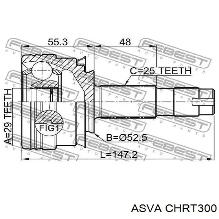 CHRT300 Asva