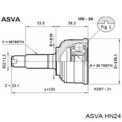 HN24 Asva