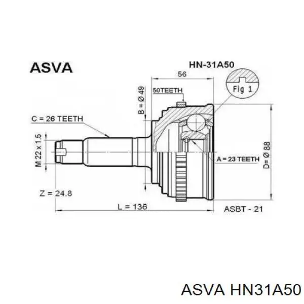 HN31A50 Asva шрус наружный передний