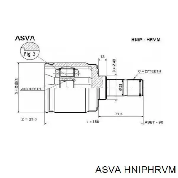 HNIPHRVM Asva Граната внутренняя передняя правая