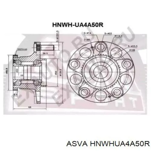 Ступица задняя WBH2044 Kavo Parts