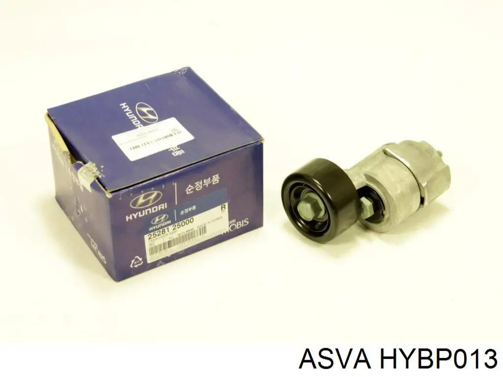 HYBP013 Asva