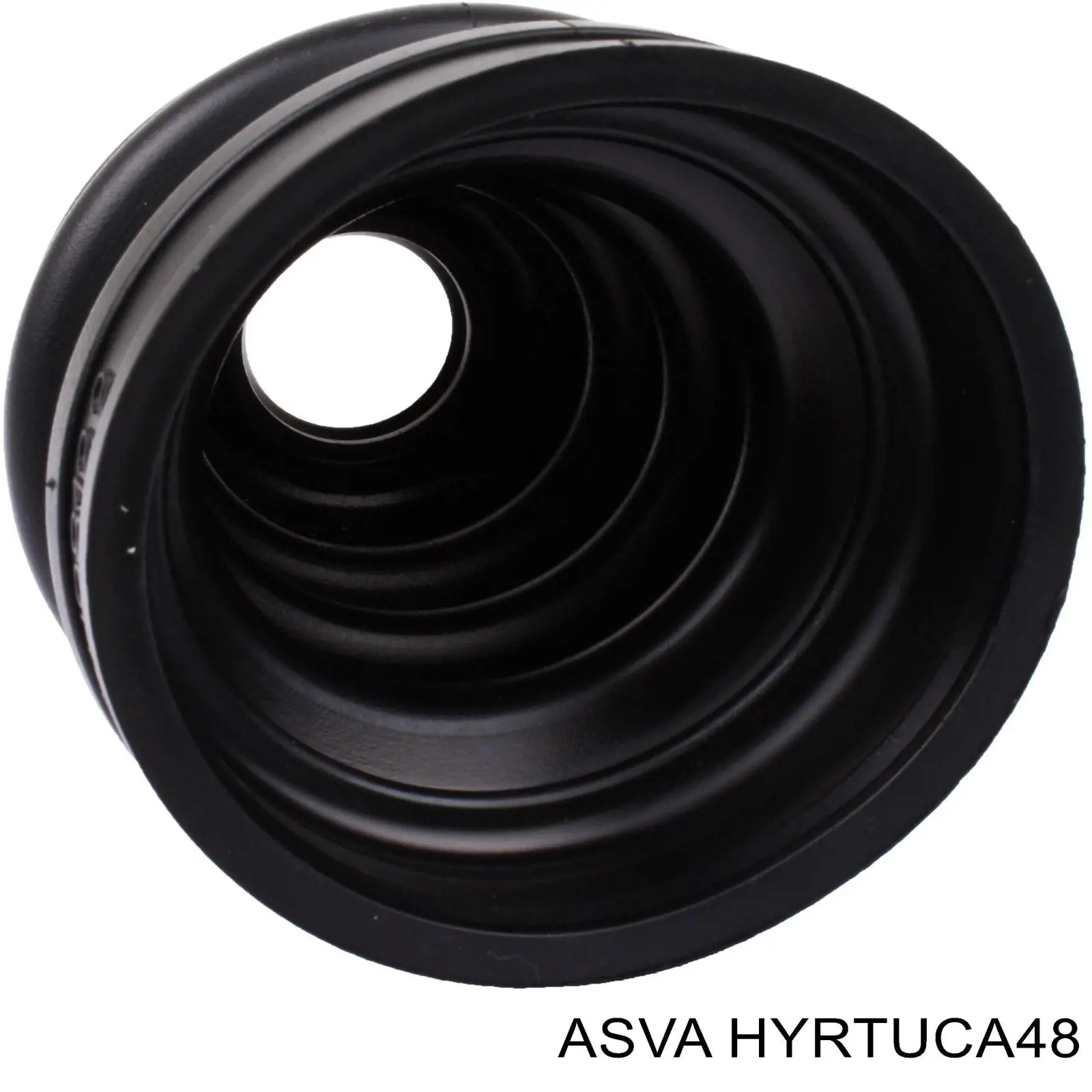 HYRTUCA48 Asva