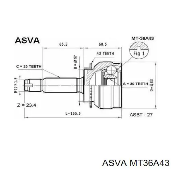 MT36A43 Asva Наружная граната