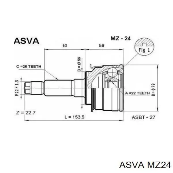 Junta homocinética exterior delantera MZ24 Asva
