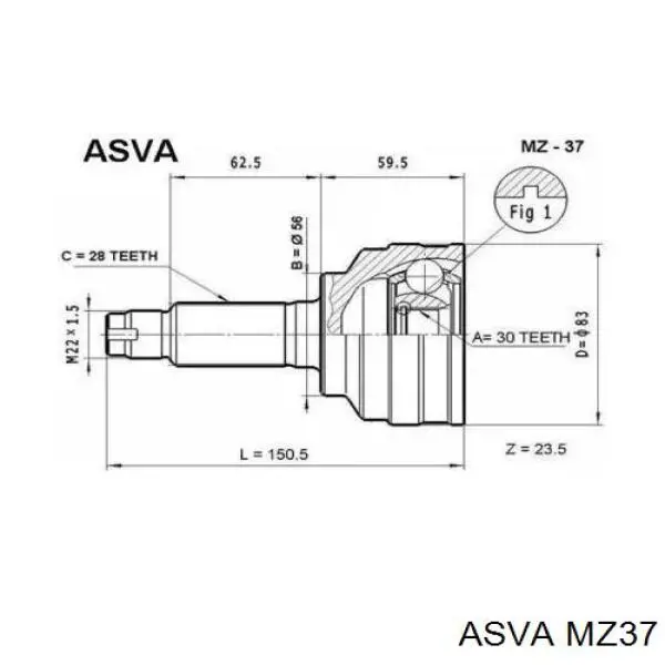 ШРУС наружный передний MZ37 Asva