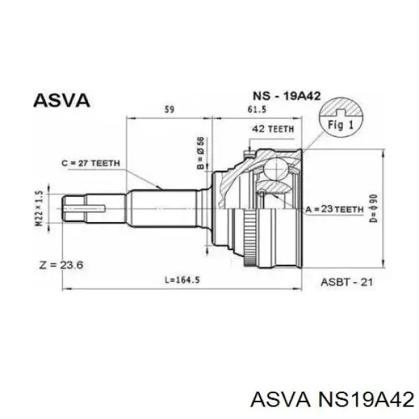 ШРУС наружный передний NS19A42 Asva