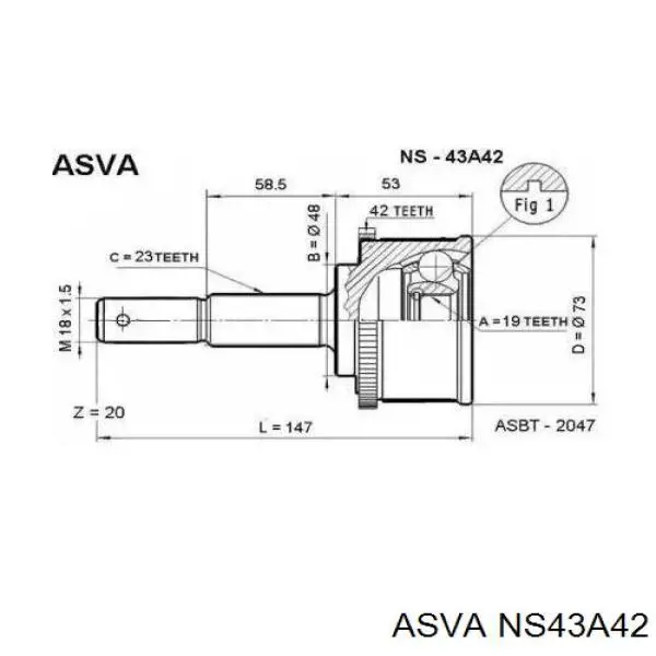 ШРУС наружный передний NS43A42 Asva