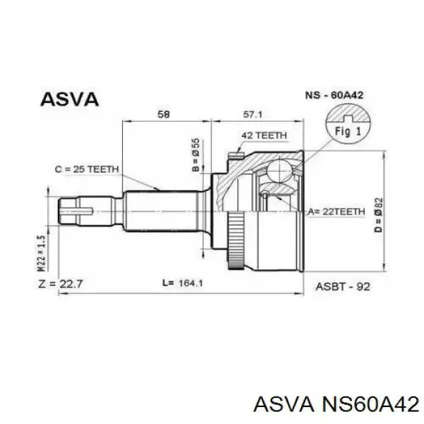 ШРУС наружный передний NS60A42 Asva