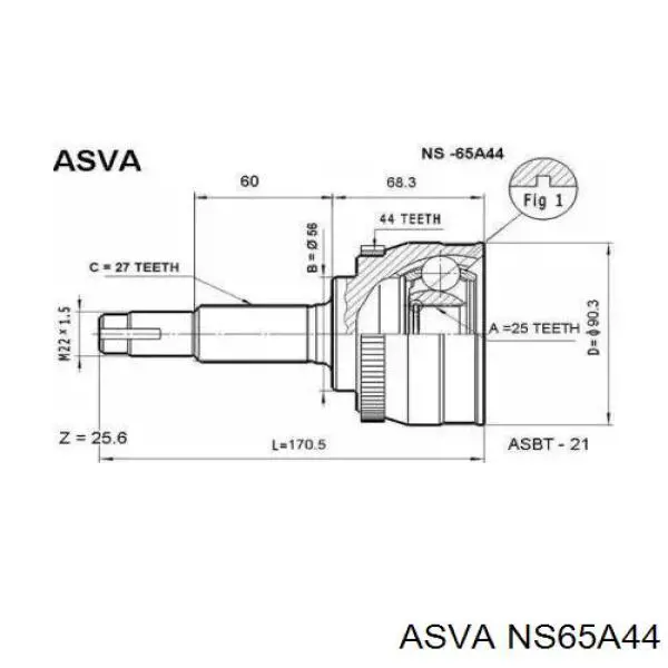 Шарнір приводу зовнішній NS65A44 Asva