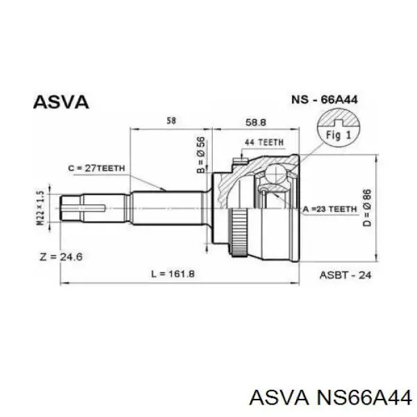 ШРУС наружный передний NS66A44 Asva