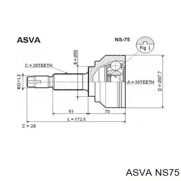 ШРУС наружный передний BCJ1255 Borg&beck