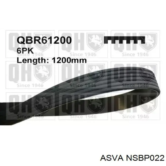 Натяжитель приводного ремня NSBP022 Asva