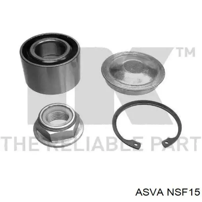 NSF15 Asva