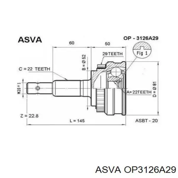 ШРУС наружный передний OP3126A29 Asva