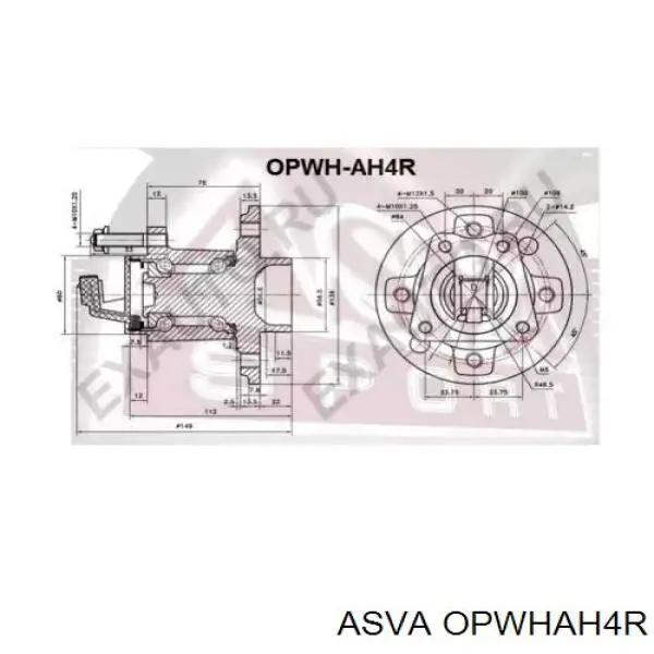 Ступица задняя 6192726 Cifam