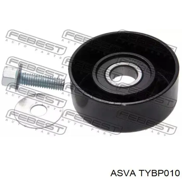  TYBP010 Asva