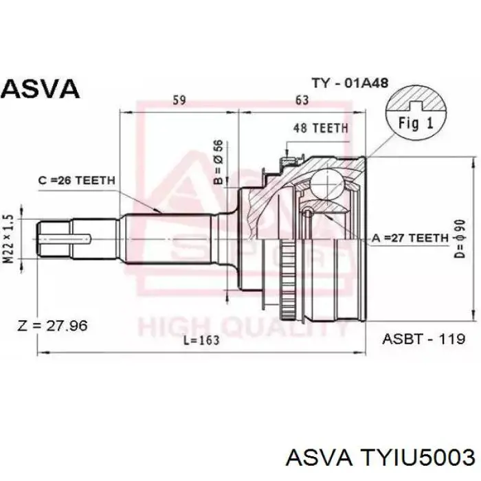 TYIU5003 Asva