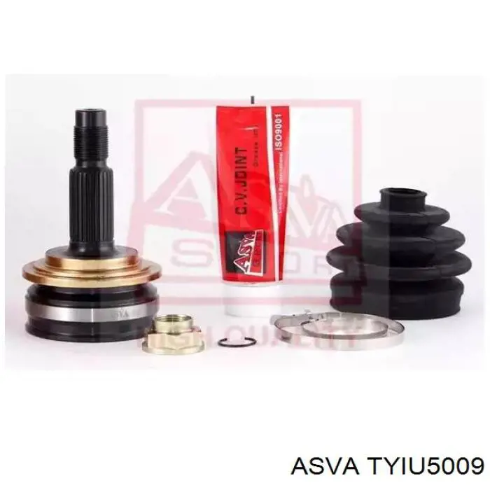 TYIU5009 Asva