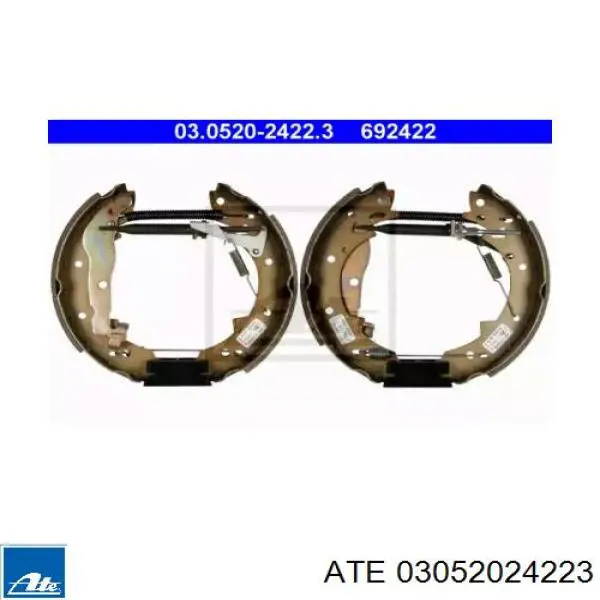 03052024223 ATE
