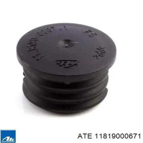 Ремкомплект переднего суппорта 11819000671 ATE