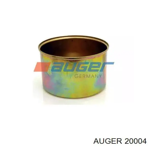  20004 Auger