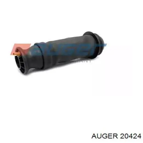  20424 Auger