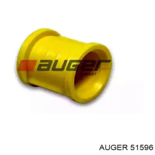 51596 Auger 
