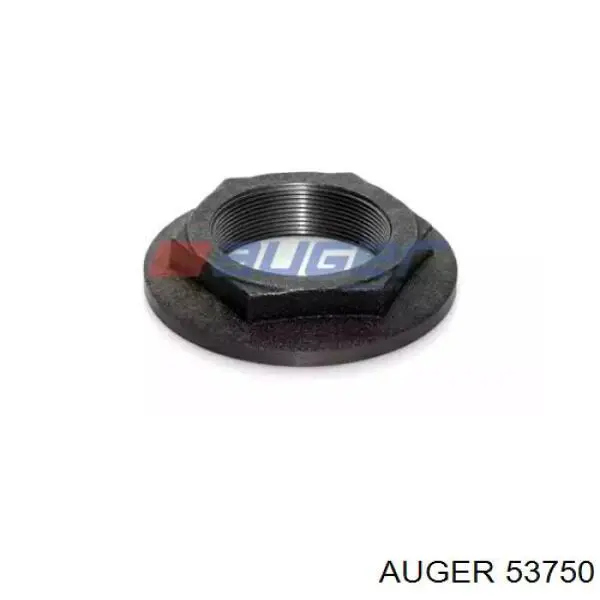  53750 Auger