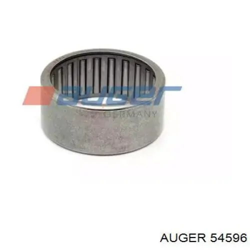  54596 Auger