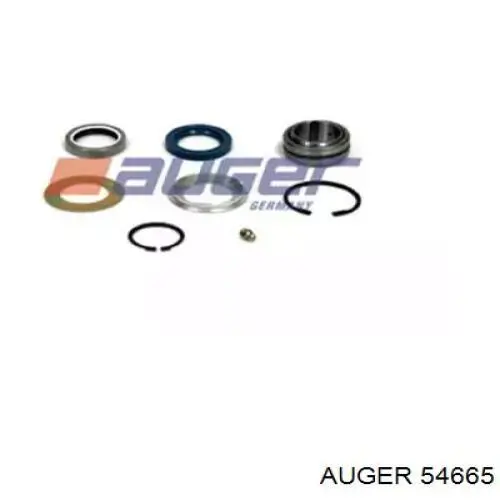  54665 Auger