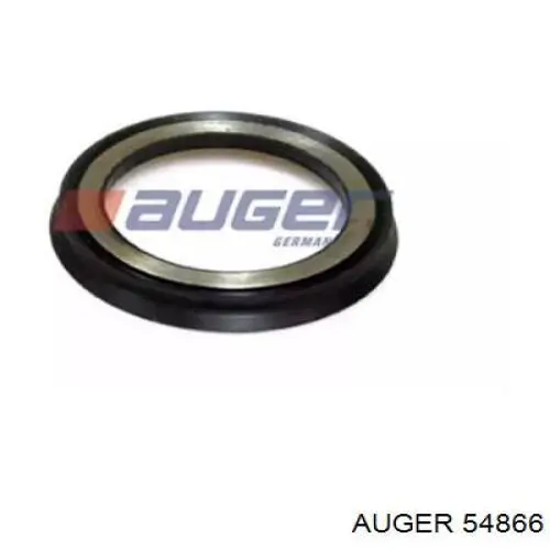 54866 Auger 
