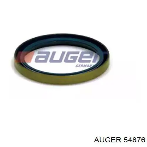  54876 Auger