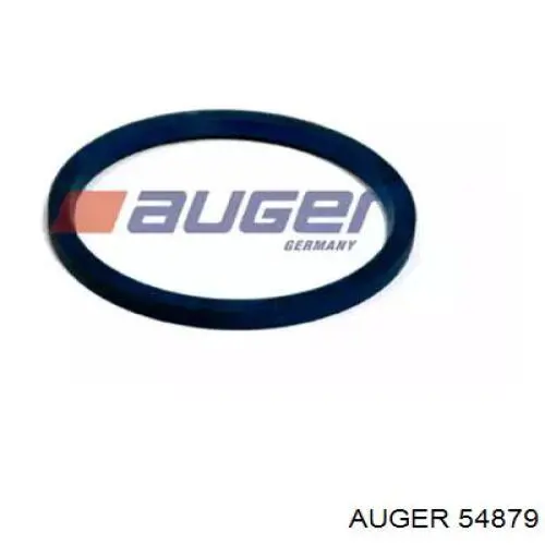  54879 Auger