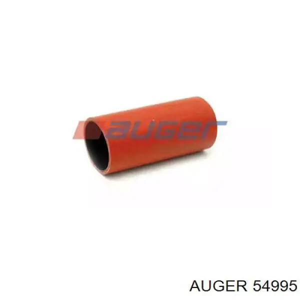  54995 Auger