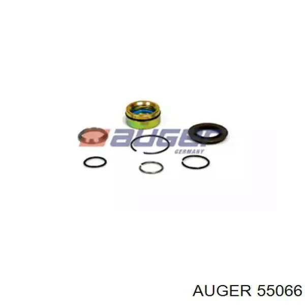  55066 Auger