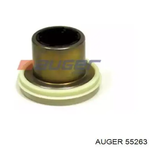  55263 Auger