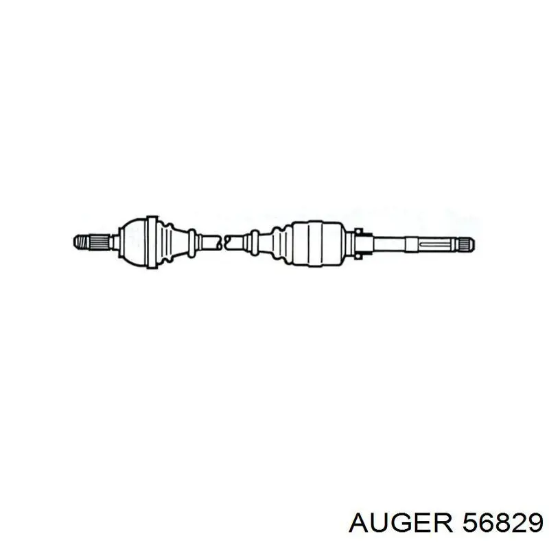 56829 Auger Игольчатый подшипник задней балки